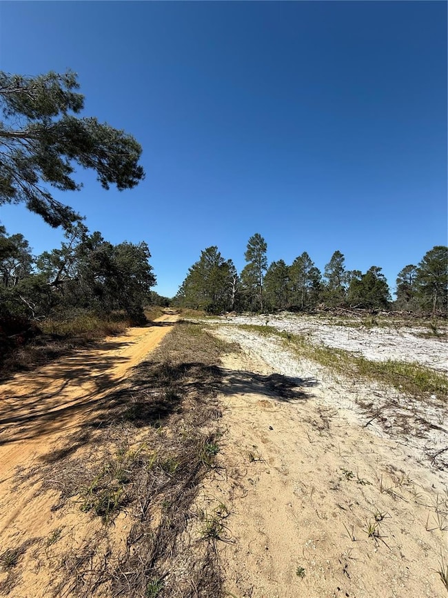 Road in front of lot.