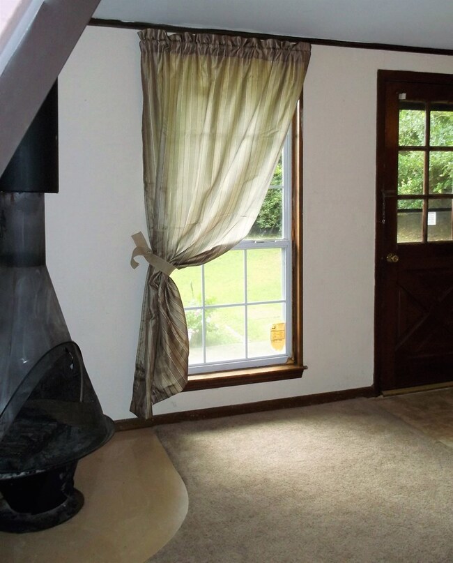 wood burning fireplace