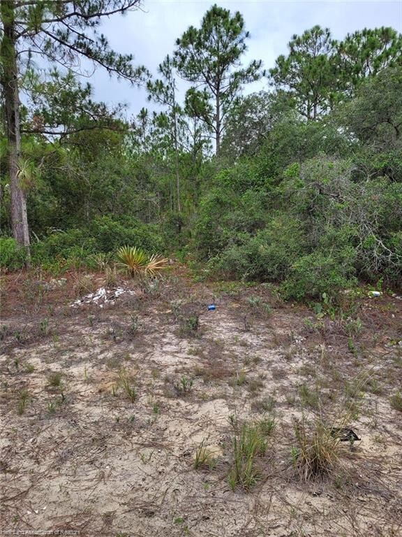 215 Fascination Dr, Lake Placid, FL 33852 - photo 4