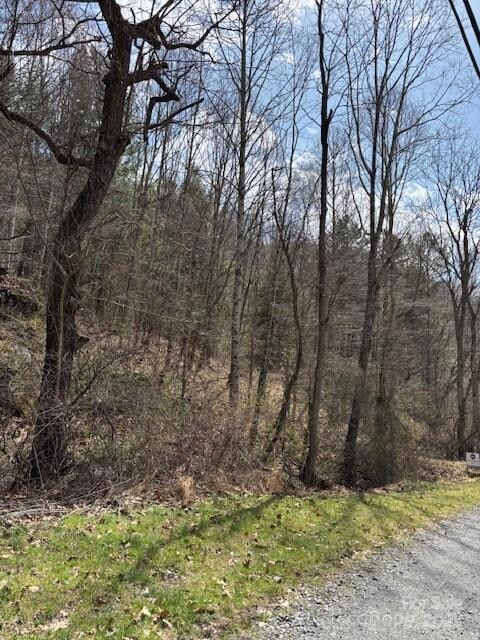 25 Green Meadow Ln unit 25, Mars Hill, NC 28754 - photo 6