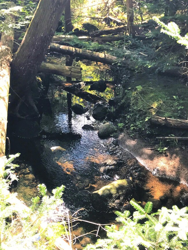 Stream
