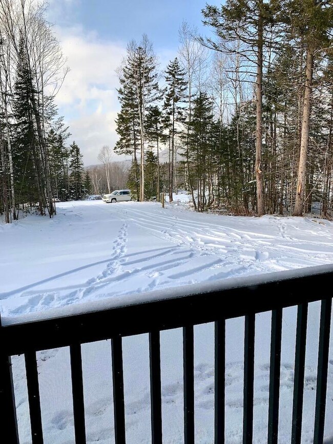 View from Porch