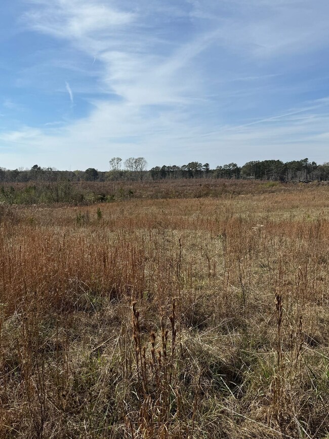 Roebuck Dr, Preston, MS 39354 - photo 6