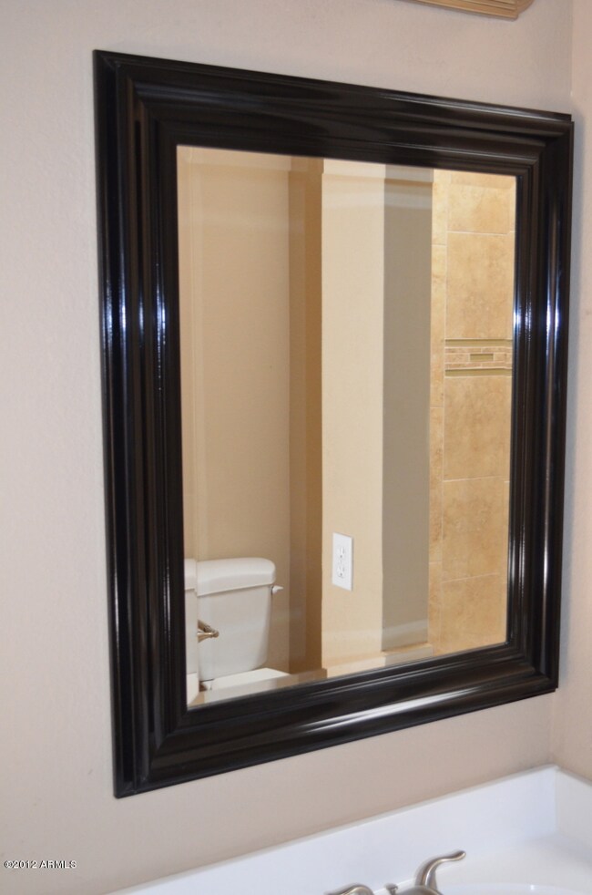Framed Mirrors