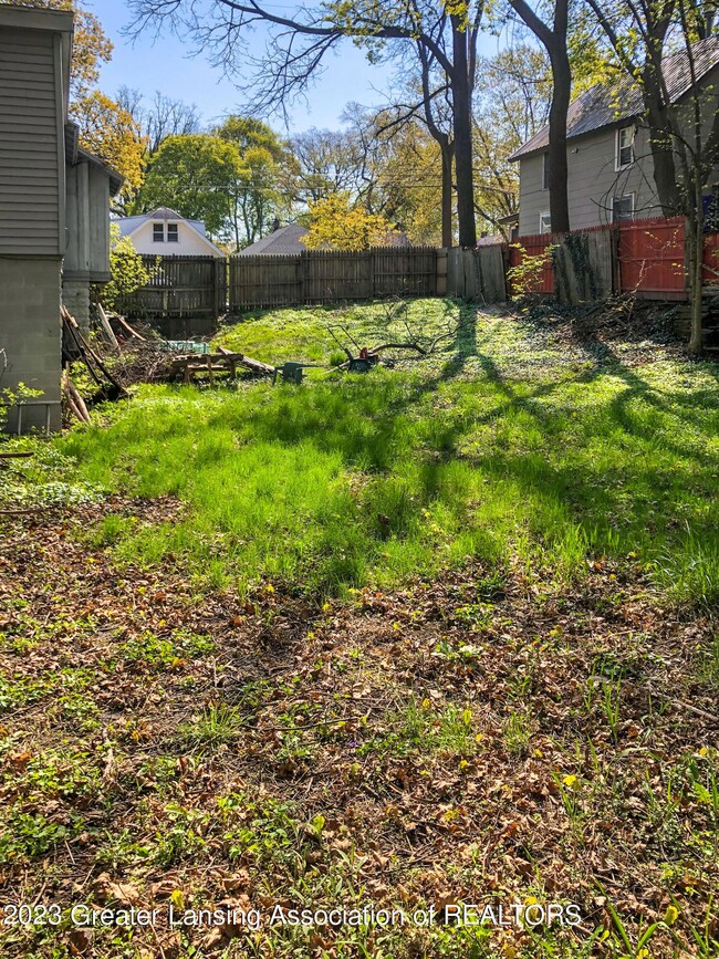 Back Yard
