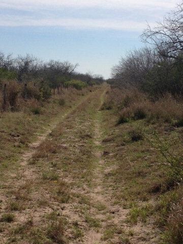 unlisted-address, Edinburg, TX 78539 - photo 2