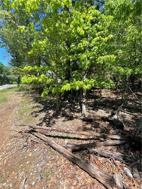 0 Boswell Cir, Bella Vista, AR 72715 - photo 3