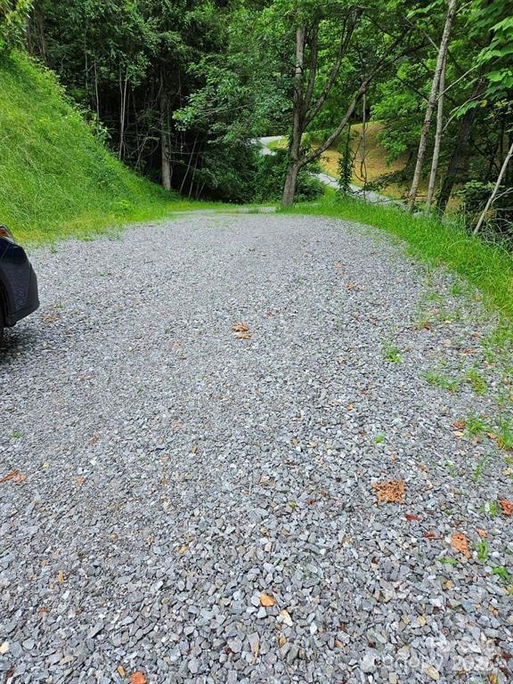 97 Junebug Trail, Waynesville, NC 28785 - photo 2