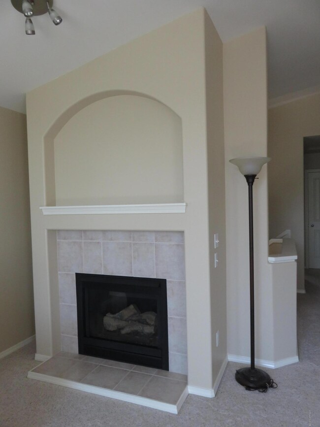 Fireplace in Living Room