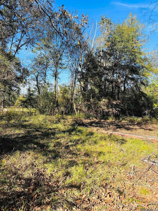 5657 Cheryl Lynn Dr, Baton Rouge, LA 70706 - photo 5