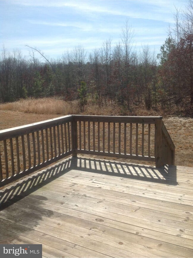 15138 McBryant Rd, Ruther Glen, VA 22546 - photo 5