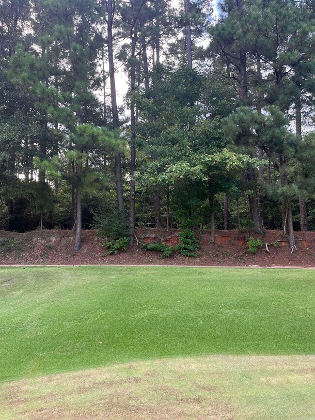 0 Pt Section 15 T17s-R15w unit 25031620, El Dorado, AR 71730 - photo 2