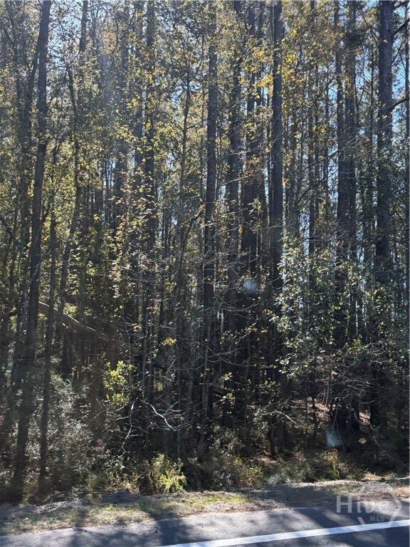 50 Old River Rd, Bloomingdale, GA 31302 - photo 4