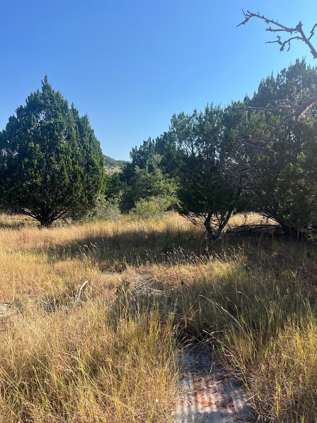 4223 Texas 173, Bandera, TX 78003 - photo 6