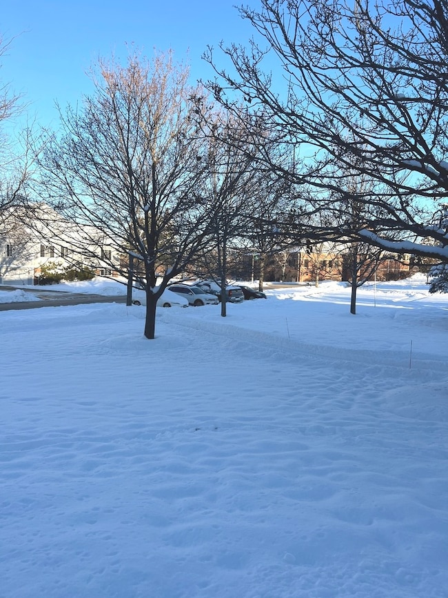 2233 Dawson Ln unit 312, Algonquin, IL 60102 - photo 5