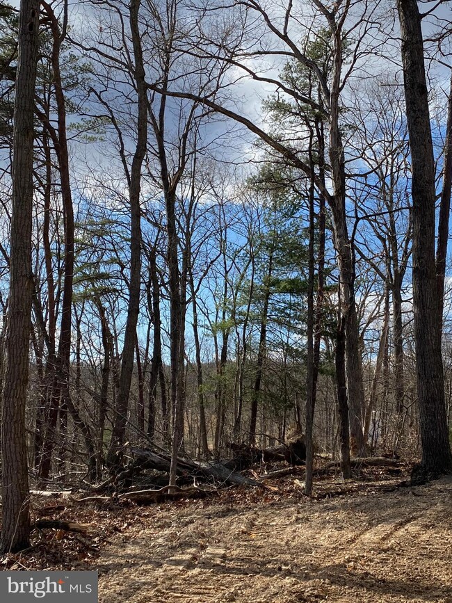 24 Pine Crest Ln, Winchester, VA 22603 - photo 4