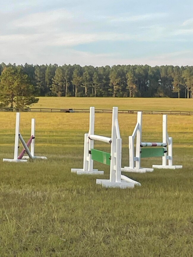New Stadium Jumps