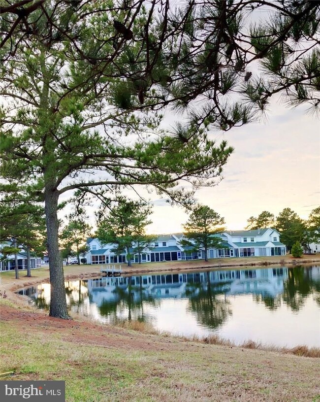 38104 Mockingbird Ln unit 21, Selbyville, DE 19975 - photo 4