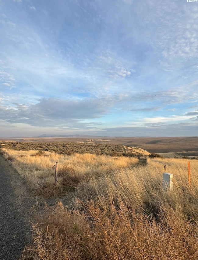 NKA E 973 Prairie SE, Kennewick, WA 99338 - photo 2