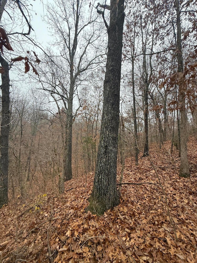 000 Pecan Dr, Grovespring, MO 65662 - photo 4