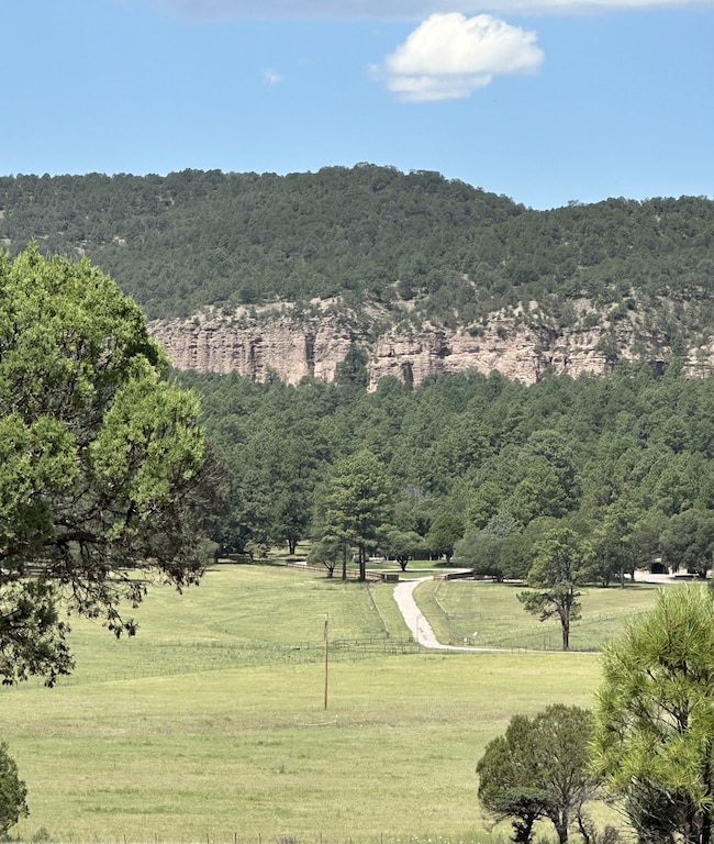 200 Meadow Ln, Mimbres, NM 88049 - photo 5