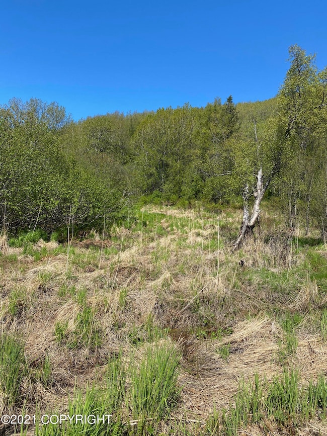 58150 Glacier View Rd, Fritz Creek, AK 99603 - photo 7