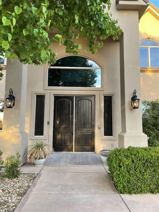Large double front doors