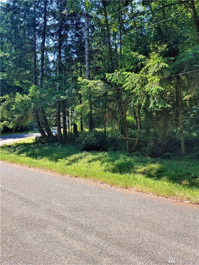 8920 Davenport Rd unit AI, Anderson Island, WA 98303 - photo 2