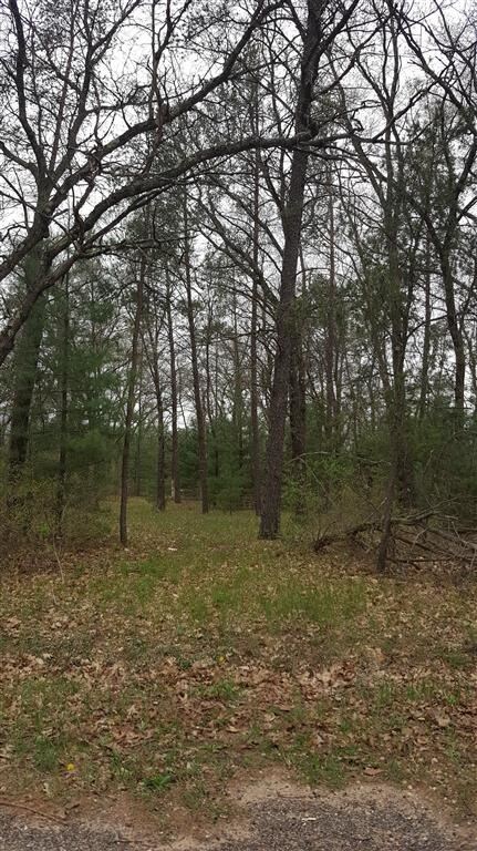 5.56 AC 37th St E, Clearfield, WI 53950 - photo 2