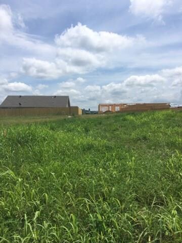 0 General McCrae unit 1018845, Prairie Grove, AR 72753 - photo 2