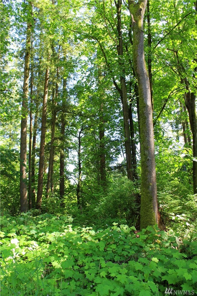 1018 Silver Springs Way, Stanwood, WA 98292 - photo 5