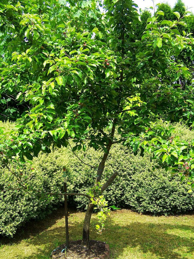 19625 W Creek Loop, Cloverdale, OR 97112 - photo 7