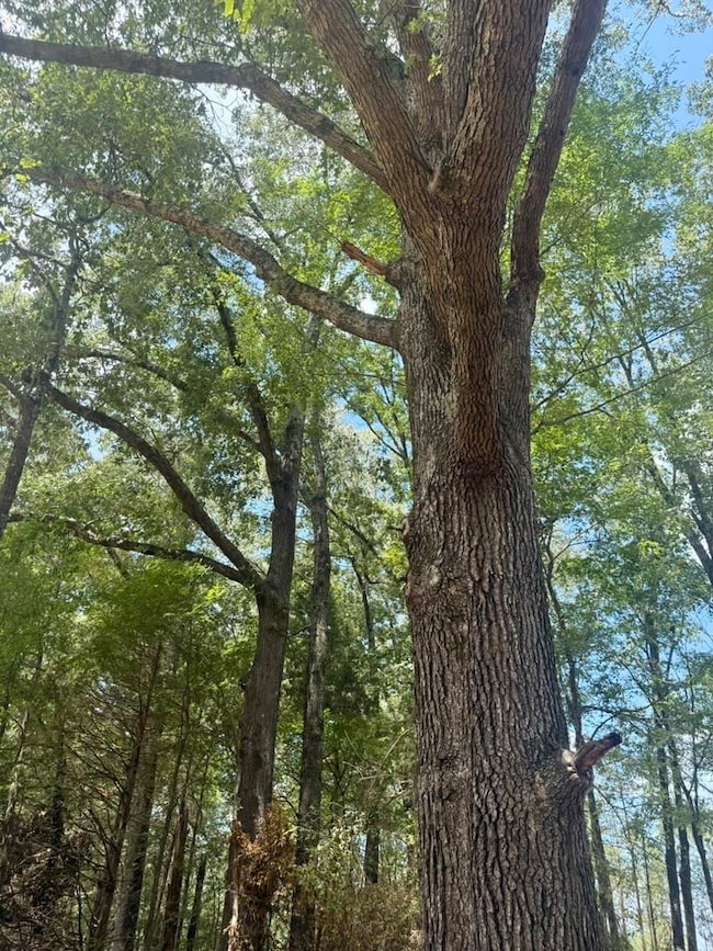 25 Bell Grove Rd, Oakland, TN 38028 - photo 5