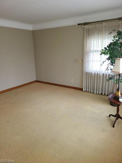 Wood floors have been protected by carpet for many years