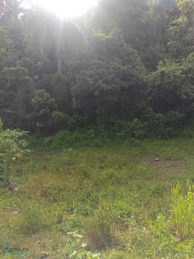 0 Carretera 821 Km 1 9, Corozal, PR 00783 - photo 6