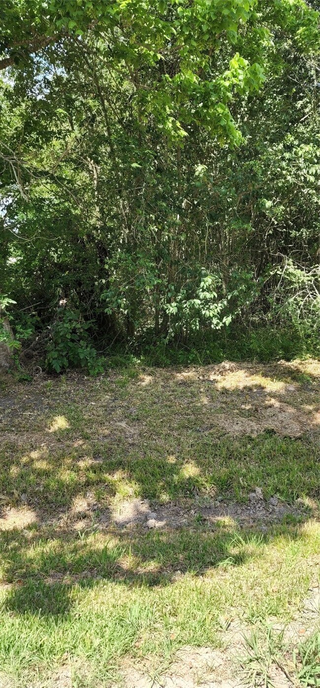 0 Woody-Off unit 9696803, Brookside, TX 77581 - photo 3