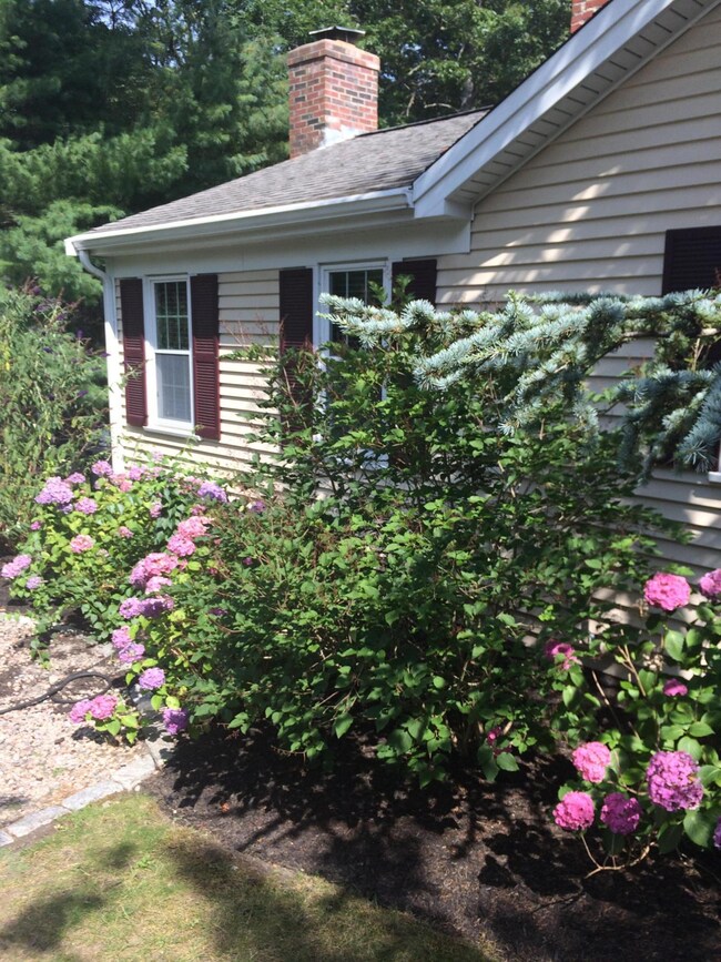 485 Center St, Dennis, MA 02660 - photo 2