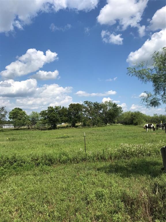 1800 Cottondale Rd, Springtown, TX 76082 - photo 4