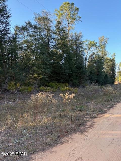 Lot #1 Arpana Cir, Alford, FL 32420 - photo 4