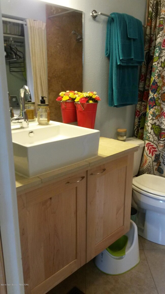 guest bath 1