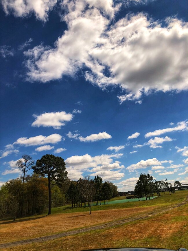 425 Everson Rd, Colquitt, GA 39837 - photo 3