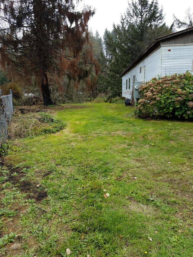 Side yard