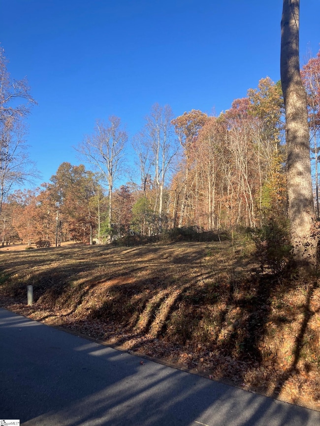 38 Coster Rd, Travelers Rest, SC 29690 - photo 4