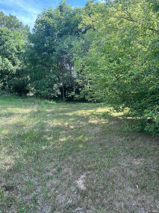 55915 Dorn St, South Bend, IN 46619 - photo 6