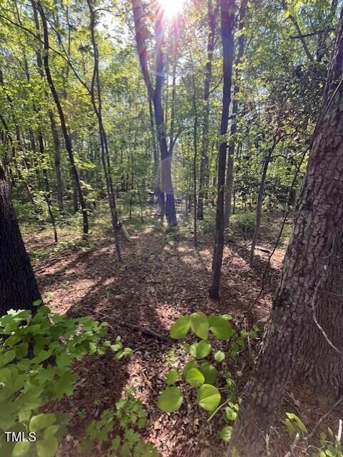 4302 Cheek Woods