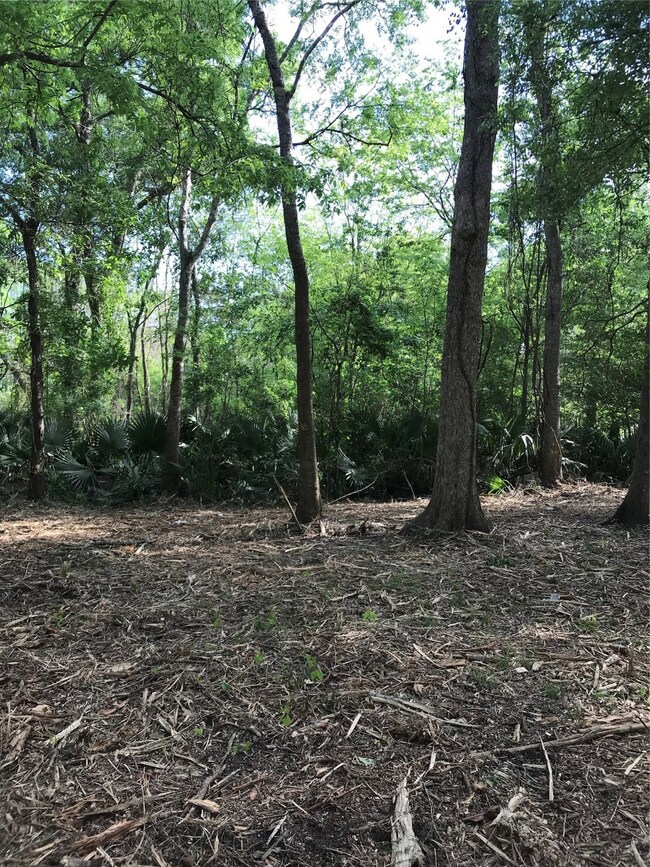 0 County Road 417 Parkway Dr unit 10051907, Dayton, TX 77535 - photo 4