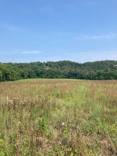 20-acre green space to river