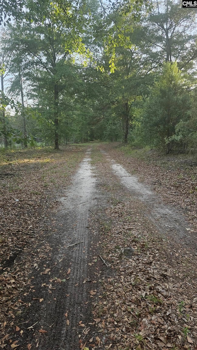 3064 Highway 1 N, Cassatt, SC 29032 - photo 3