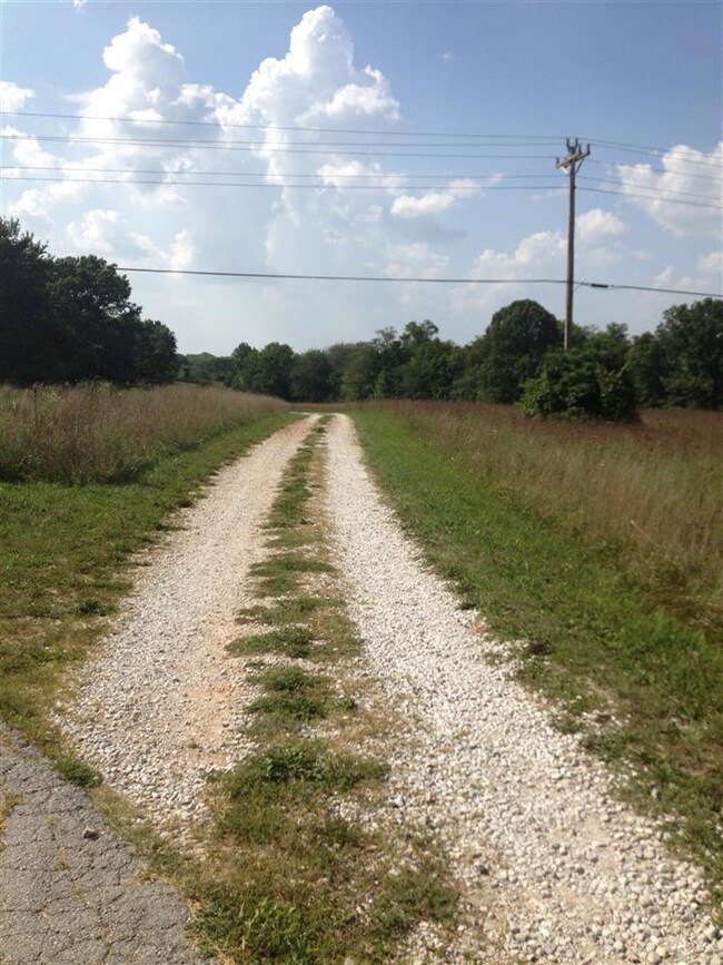 Additional Photo