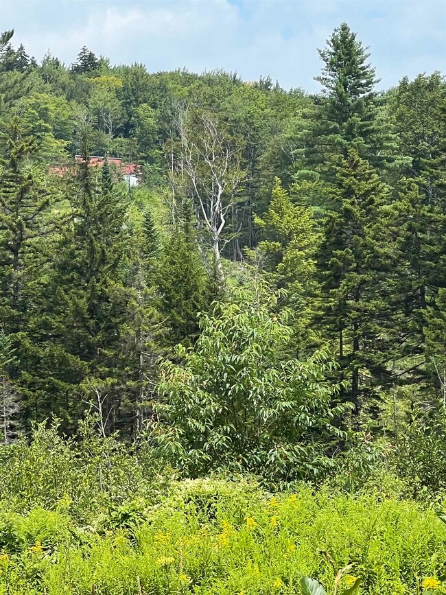 1156 N Groton Rd, Groton, NH 03266 - photo 6